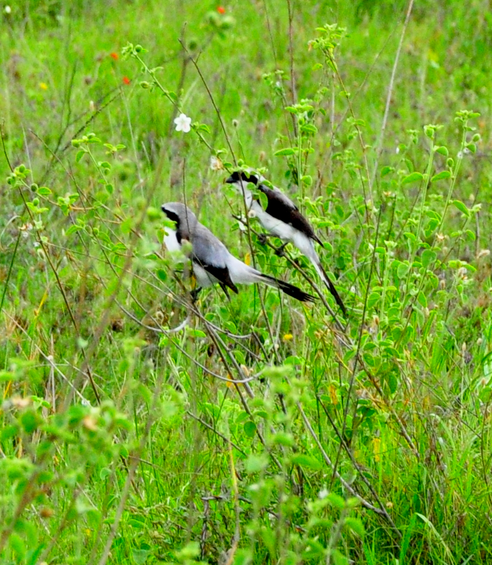 Melanie Heinrich Travel Images Africa